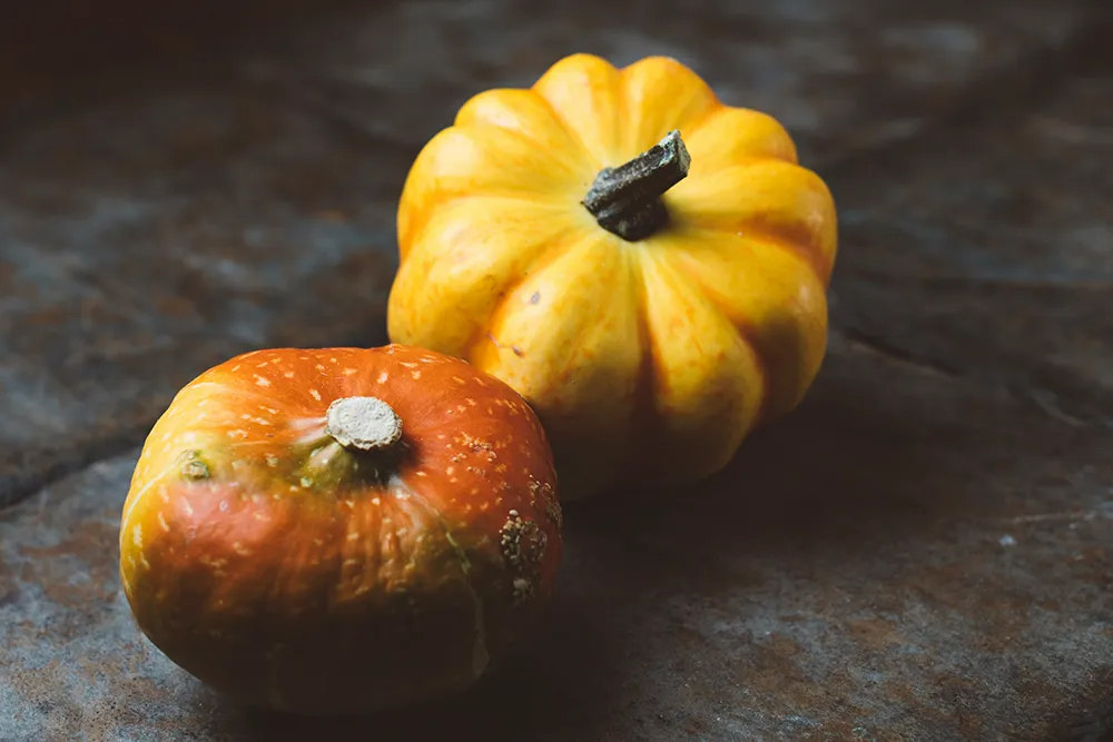 Acorn Squash