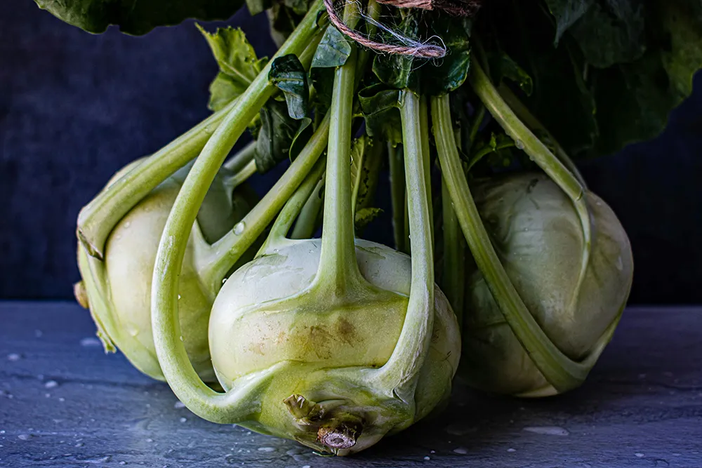 Kohlrabi