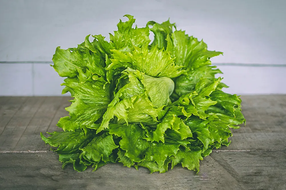 Lettuce