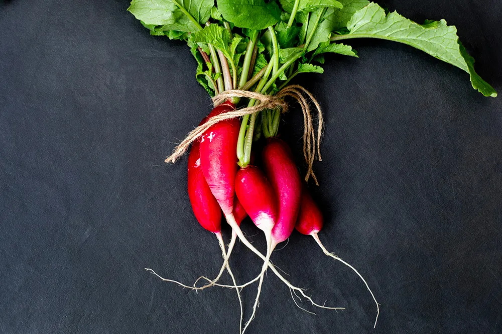 Radishes