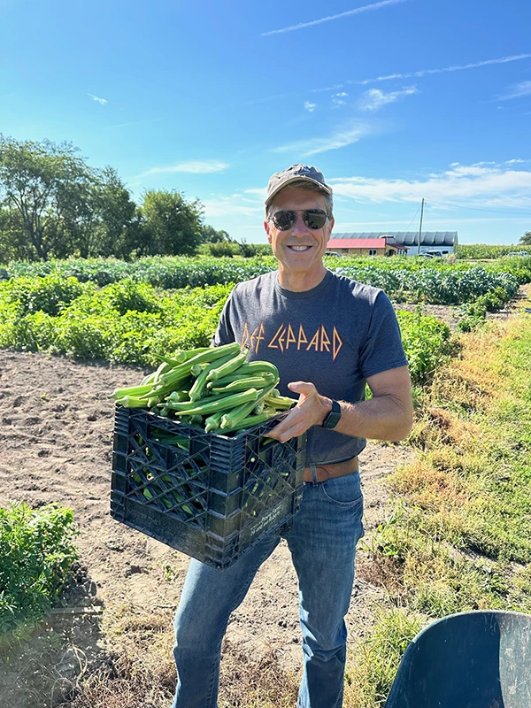 Man harvesting vegetables